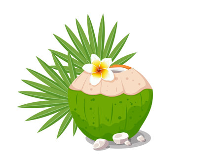 Coconut fruit fresh with flower and leaf. Summer holiday on white background. EPS 10 vector illustration. Easily edit as you wish with vector files (EPS or AI) in Illustrator, saving you a lot of time while working.のイラスト素材