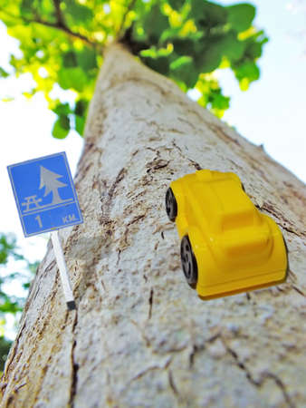Toy Car travelの写真素材
