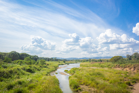 Beautiful landscape with grassy field, river small, the background and skyの写真素材