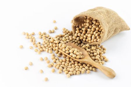 soybean pour out small sack with wooden spoon on white backgroundの写真素材