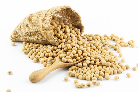 soybean pour out small sack with wooden spoon on white backgroundの写真素材