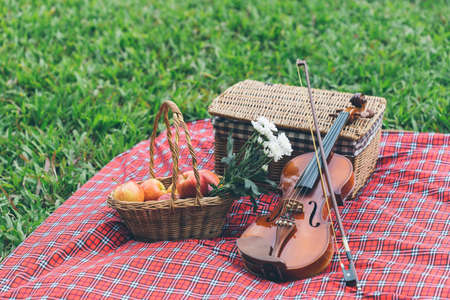 Picnic basket with fruit and bakery on red cloth in garden.の写真素材