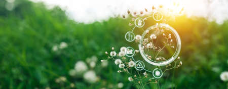 Energy power electric environment from nature concept, green nature background.の写真素材