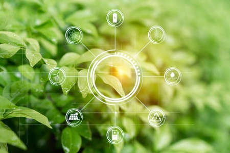 Energy power electric environment from nature concept, wet green leaves nature background.