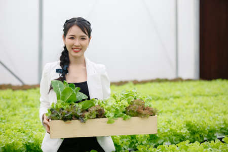 Asian beautiful businesswoman holding wooden box with vegetables in the organic greenhouse farm. self service customer.の写真素材
