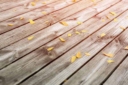Wood old background or texture. Wooden floor with autumn leaves. furniture banner border textured nature.の写真素材