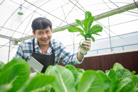 Man showing organic vegetables hydroponic smart farmer in greenhouse farm. Concept of vegetables health food.の写真素材