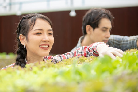 young asian couple agriculture smart farmer working picking vegetables working in organic greenhouse farm. Hydroponics farming.の写真素材