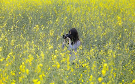 Traveler take a photo in Crotalaria Fields, Songkhla, Thailand