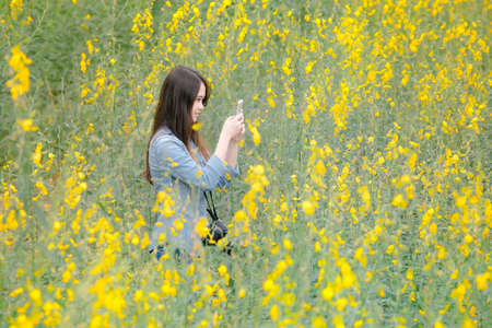 Traveler take a photo in Crotalaria Fields, Songkhla, Thailandの写真素材