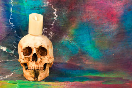 Still life with a human skullの写真素材