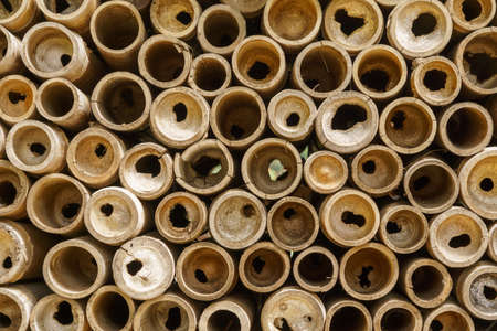 Beautifully arranged bamboo cylinder patternの写真素材