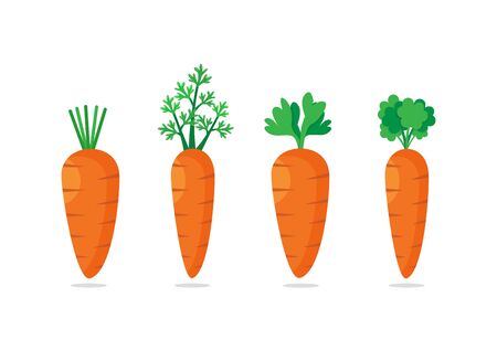 Set of Four carrots with green leaves. Sweet vegetableのイラスト素材