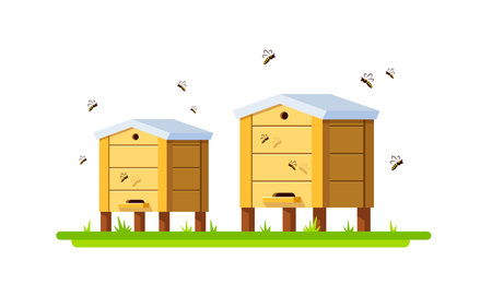 Bee hives,Apiary with Bees on White Background,flat design icon vector illustrationのイラスト素材