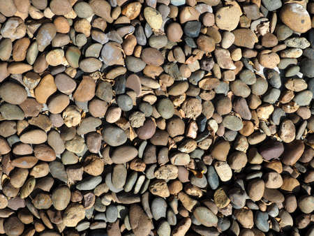 Stone and dried leaf texture backgroundの写真素材