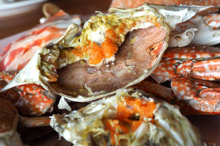 boiled blue crab ready to eat asian styleの写真素材