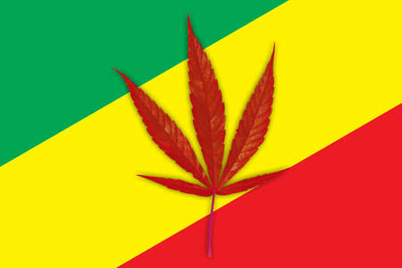 Marijuana Bud on Canopy of Indoor Cannabis Plants with Flat Vintage Styleの写真素材