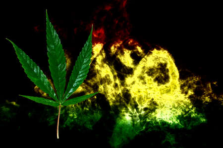 Marijuana Bud on Canopy of Indoor Cannabis Plants with Flat Vintage Styleの写真素材