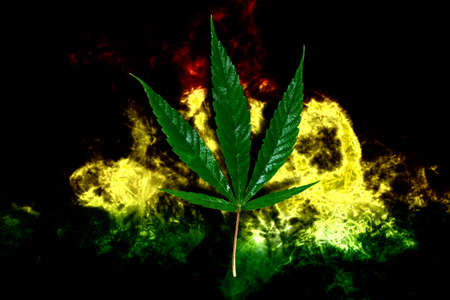 Marijuana Bud on Canopy of Indoor Cannabis Plants with Flat Vintage Styleの写真素材