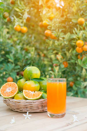 Orange Juiceの写真素材