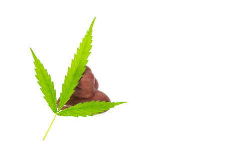 Chocolate  with marijuana leaf isolated on white background.の写真素材