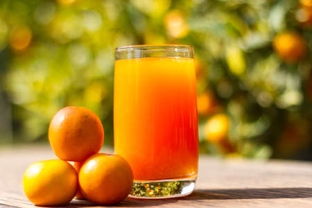 orange juice