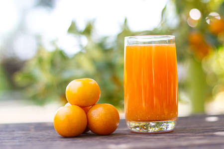 orange juiceの写真素材