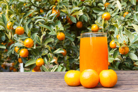 orange juiceの写真素材