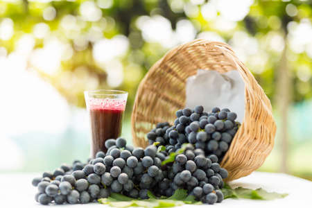 Grape juice in a glass on the table.の写真素材