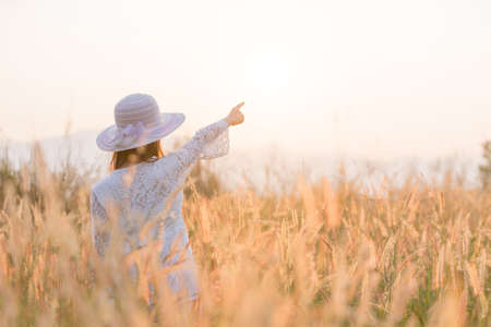 Happy girl in the meadow,Joy , sunlight , wheat.の写真素材