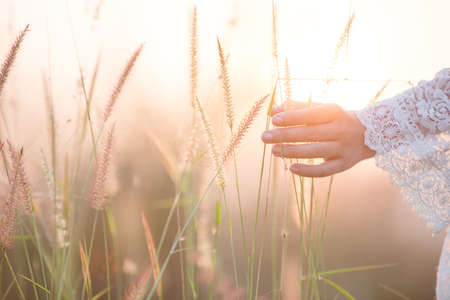 Happy girl in the meadow,Joy , sunlight , wheat.