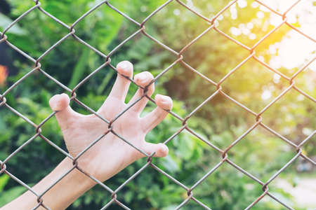 The boy's hand hand caught an iron cage in Places of Detention to await freedom. Light Fairの写真素材