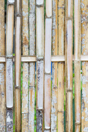 bamboo fences in rural areas.の写真素材