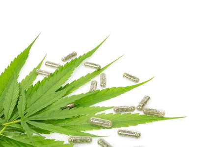 Marijuana capsules  isolated on white backgroundの写真素材