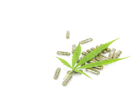 Marijuana capsules  isolated on white backgroundの写真素材