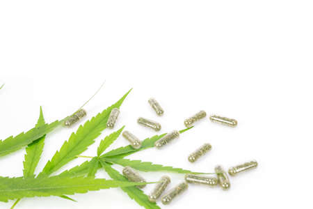 Marijuana capsules  isolated on white backgroundの写真素材