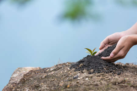hands children planting a tree on back soil as care and save wold concept