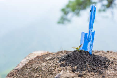 Planting a small plant on a pile of soil. as save world concept.
