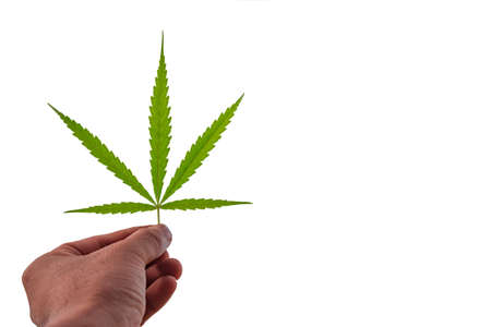 White marijuana handlesの写真素材