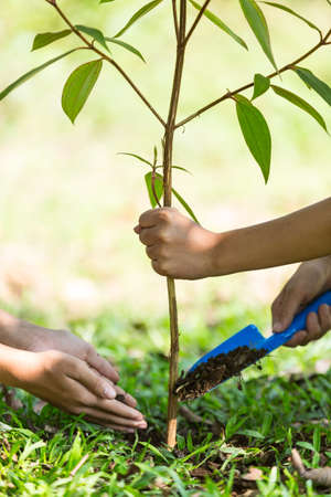 Two children are  to plant the tree in the garden as save world concept.