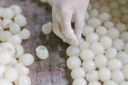 Dried Longan.の写真素材