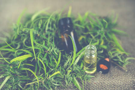 Cannabis oil, CBD oil cannabis extract, Medical cannabis concept.