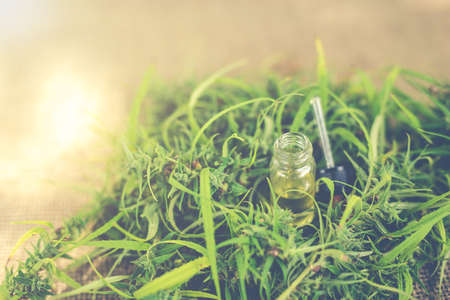 Cannabis oil, CBD oil cannabis extract, Medical cannabis concept.の写真素材