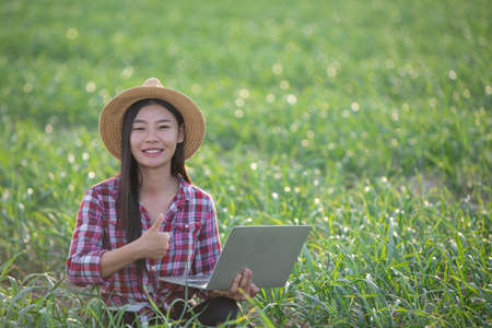 Inspection of aromatic garden quality by farmers using modern agricultural technology concepts.の写真素材