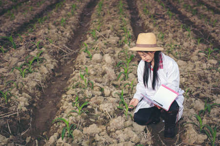 The female doctor examines soil with a modern concept book.