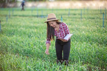 Farmers smiling women, recording happy and happy results in the onion plots with notebook