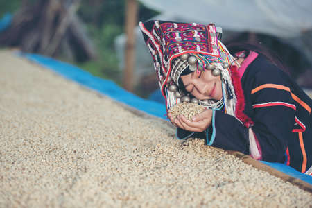 Akha women smiled and admired the coffee that was dried in the house, the hill tribe coffee products of northern Thailand.の写真素材