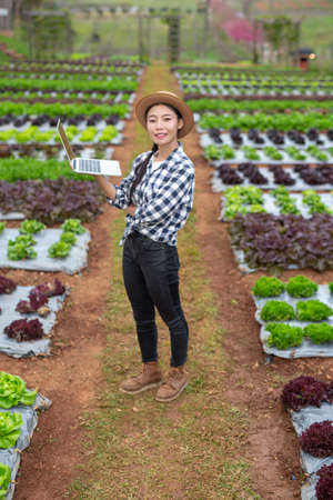 Inspection of vegetable garden quality by farmers using modern agricultural technology concepts.