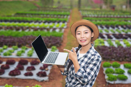 Inspection of vegetable garden quality by farmers using modern agricultural technology concepts.