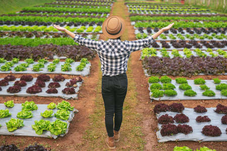 Farmers smiling and standing in arms with happiness in the onion plots.